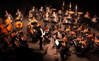 Orchestra Noir