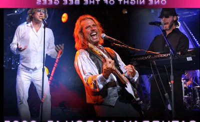 Stayin Alive Canada - One Spectacular Night of The Bee Gees