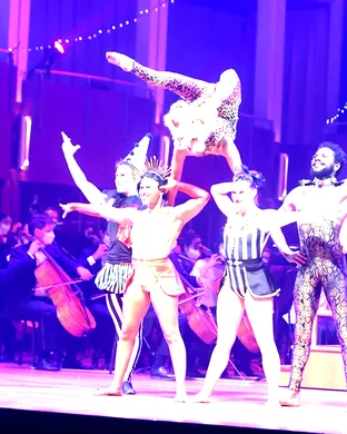 Troupe Vertigo & Phoenix Symphony